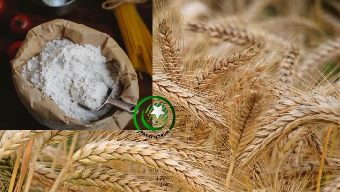 Increasing inflation - Flour Prices may reach to Rs200 per kilogram