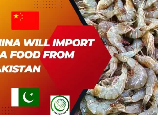 China will import Sea Food from Pakistan