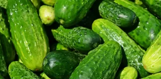 Secrets of the Cucumber: Surprising Health Benefits You May Know!