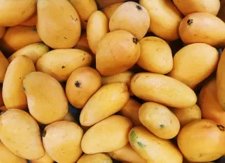 Unveiling Top 10 Health Secrets of Mango