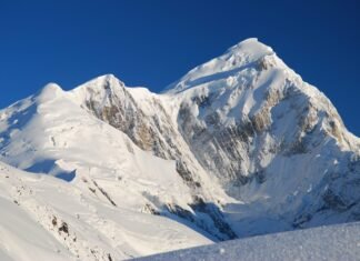 Japanese climber