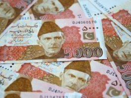 Punjab Asan Karobar Finance and Asan Karobar Card