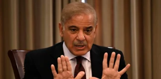 PM Shehbaz Set to Approve Appointments of 19 Ambassadors and Consuls General