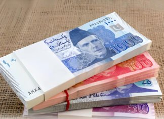 Govt Considers Introducing BPS-23 and BPS-24 Pay Scales