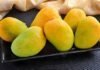 Mango Festival 2025 Lahore
