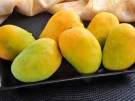 Mango Festival 2025 Lahore
