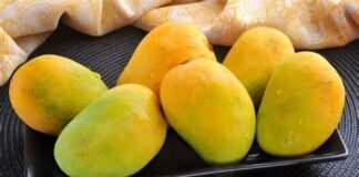 Mango Festival 2025 Lahore