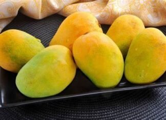 Mango Festival 2025 Lahore