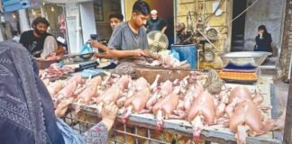 Punjab Denies Reports of Ban on Sale of Already Slaughtered Chicken