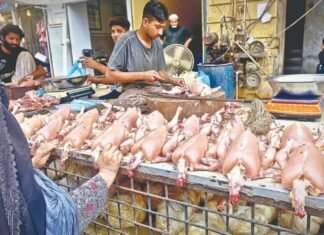 Punjab Denies Reports of Ban on Sale of Already Slaughtered Chicken