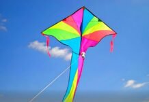 Punjab Officially Confirms Basant 2026 Dates