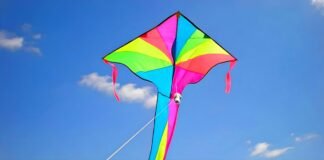 Punjab Officially Confirms Basant 2026 Dates